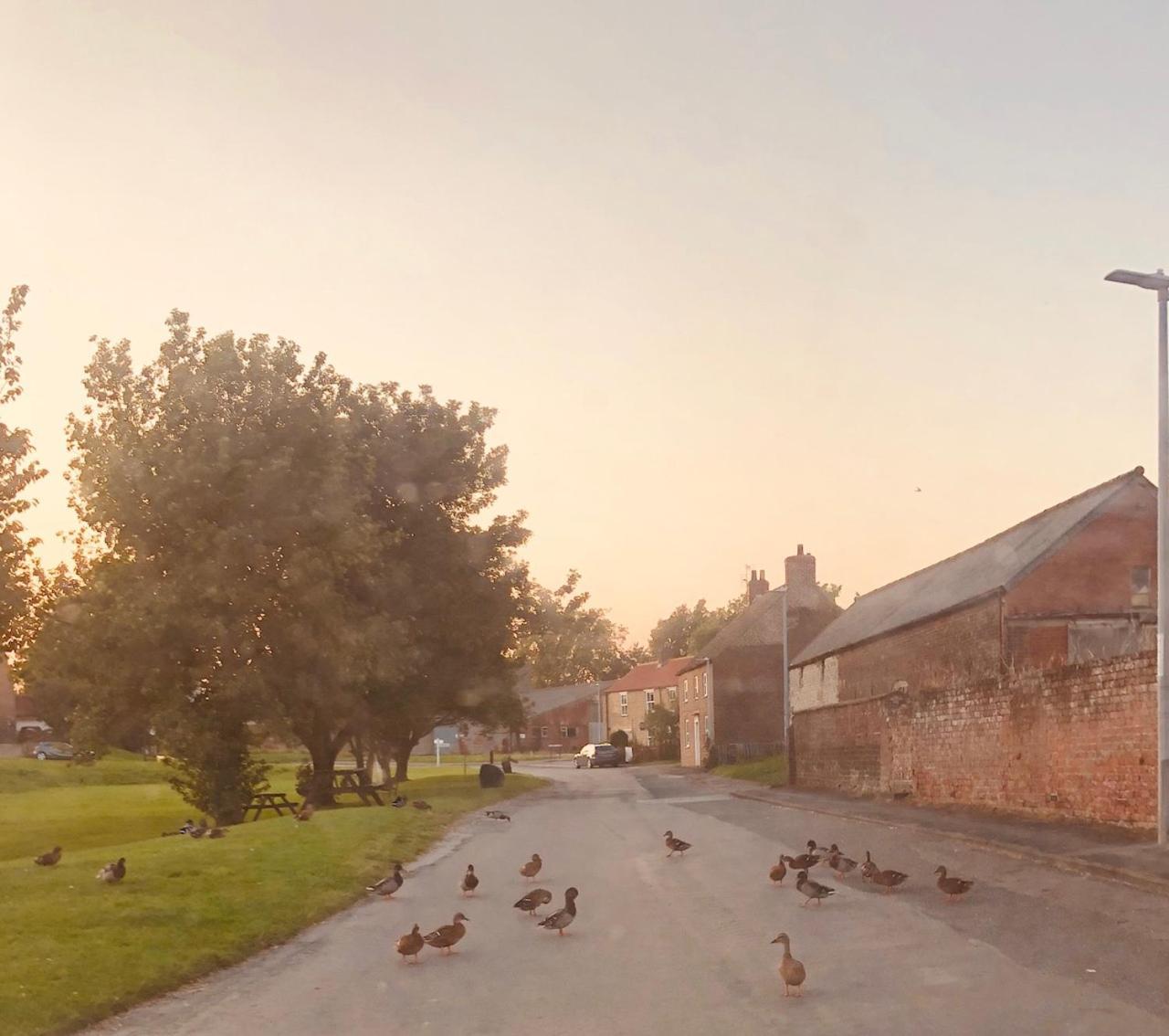 Village Barn Conversion Near York Buitenkant foto
